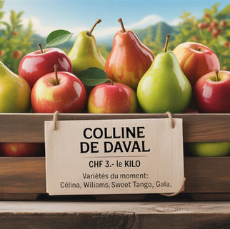 Pommes Poires du moment
