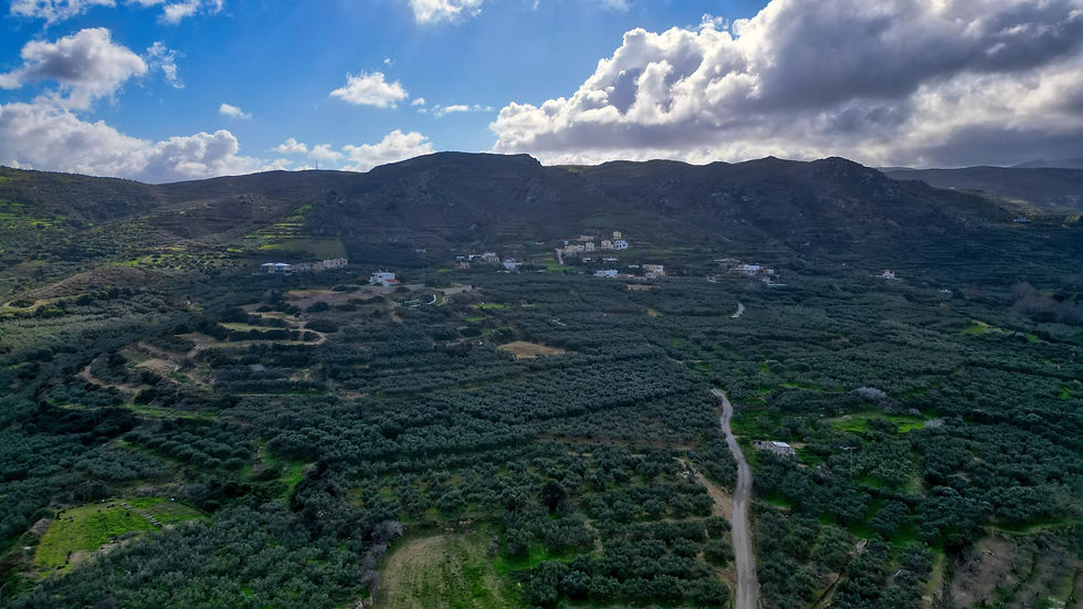 Panoramic Seaview Plot – Includes Building Permit! - image 5