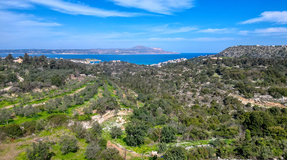 Beautiful Plot Surrounded by Nature in Aspro – 5 Minutes from Almyrida Beach - image 3