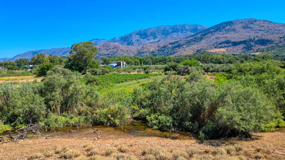 For Sale: Unique Plot in Georgioupoli – Riverfront & Walking Distance to the Beach! - image 3