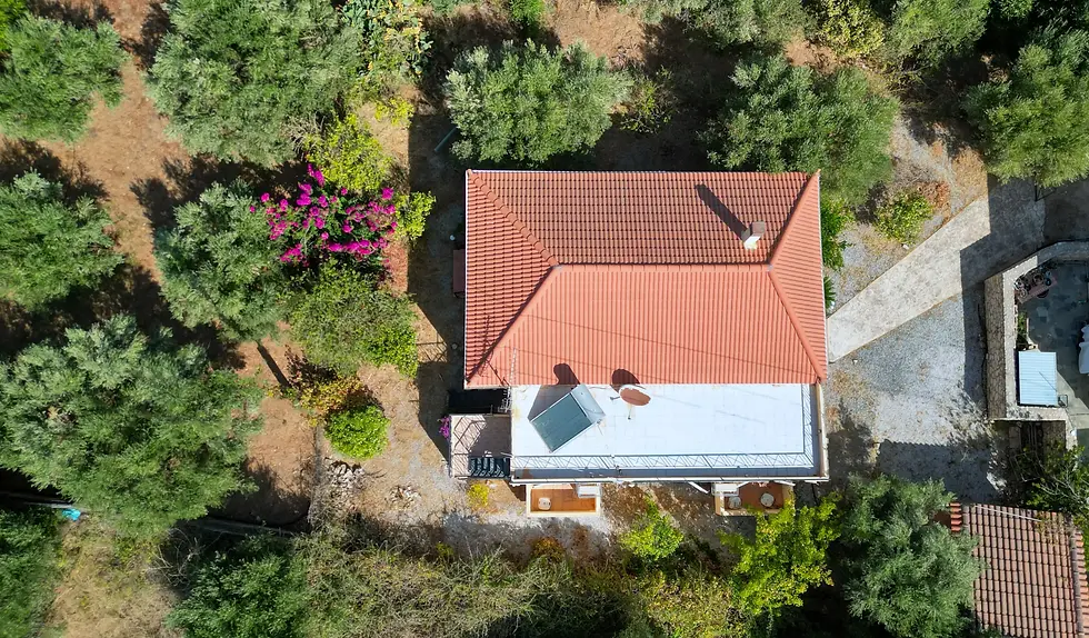 Detached House with Guest House - image 3