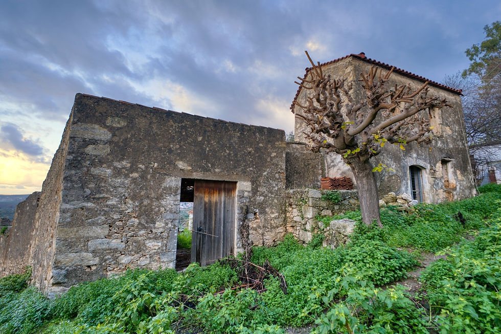 Charming Traditional Stone Property with Endless Potential - image 4