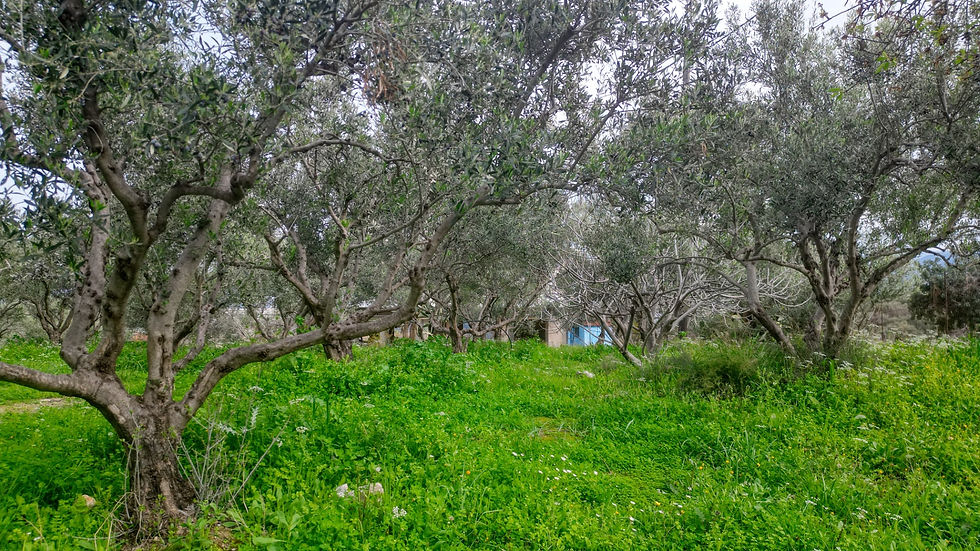 For Sale: Spacious 2-Storey House with Sea, Mountain & Forest Views in Crete - image 5