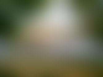 how long will you allow it?