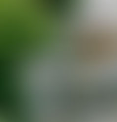 Fountain Construction Services Provider: Complete 2026 Guide