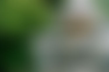 Fountain Construction Services Provider: Complete 2026 Guide