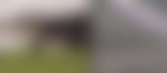 Jueza ordenó el cierre del centro de detención migratoria “Alligator Alcatraz”