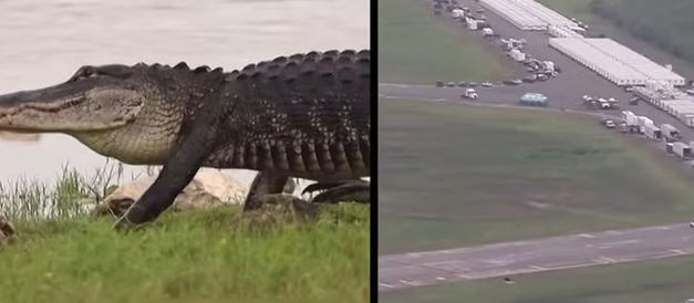 Jueza ordenó el cierre del centro de detención migratoria “Alligator Alcatraz”