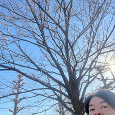 花粉症は何処へ
