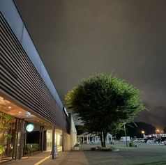 稽古からの帰省