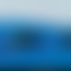 一周忌で地元へ