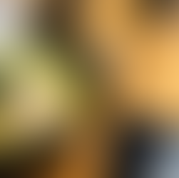 写真が撮れない