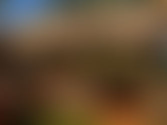 Aniki Angkor School gets a new roof!