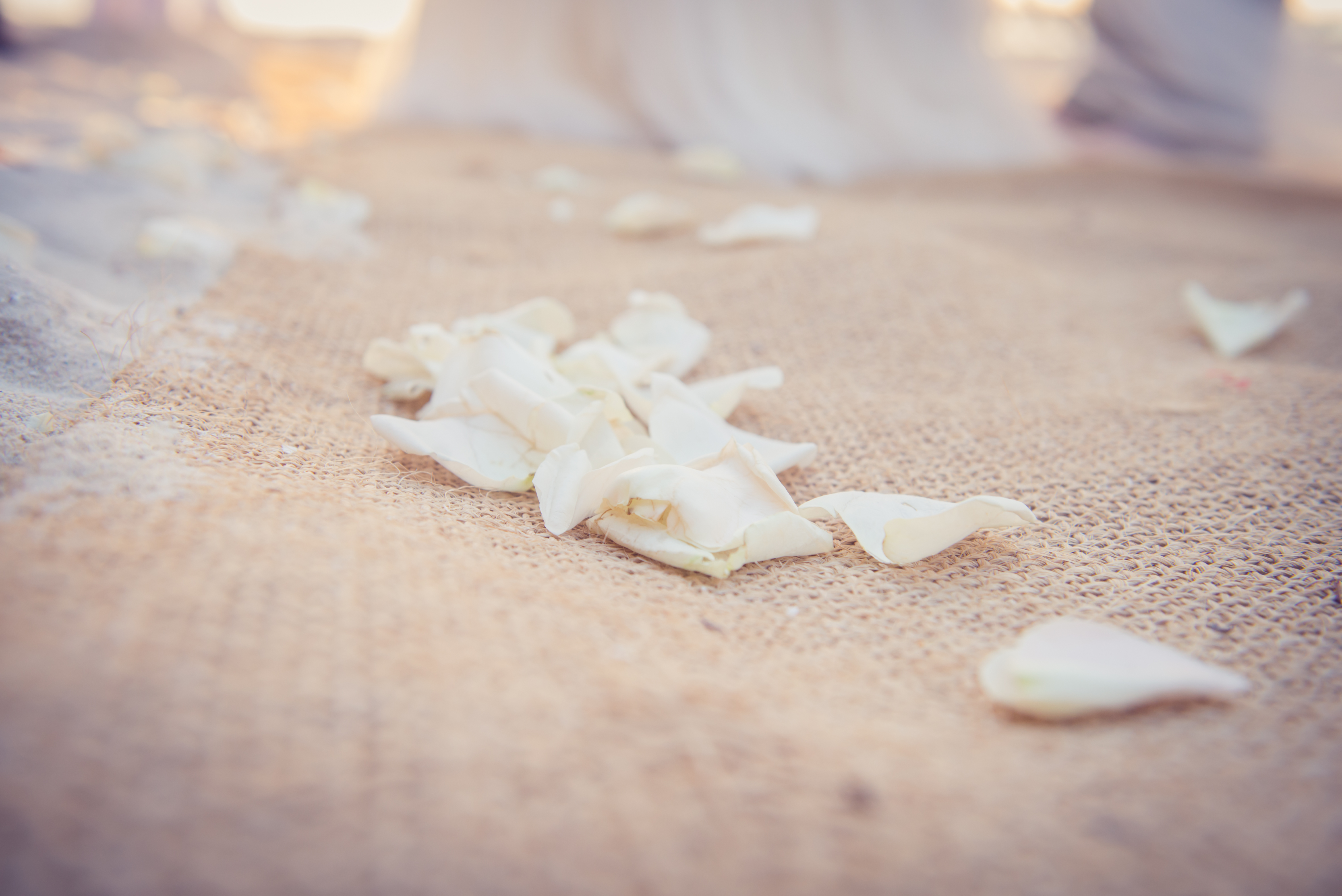 Userofreality Wedding Photographer Houston Tx