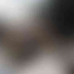 scattered newspaper on table and floor