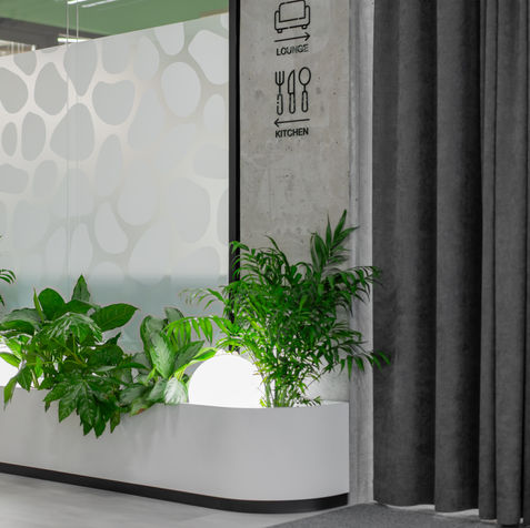 Озеленення навколо переговорних кімнат офісу BASF.