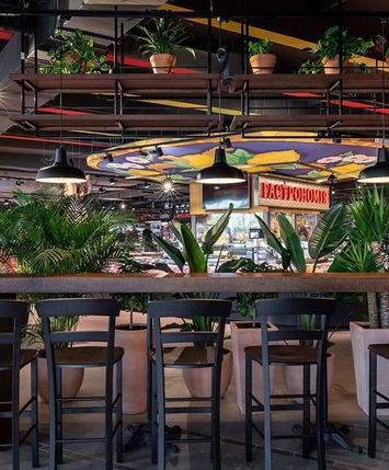 Зона магазину в торговому центрі з великими горшковими рослинами для створення природного вигляду.