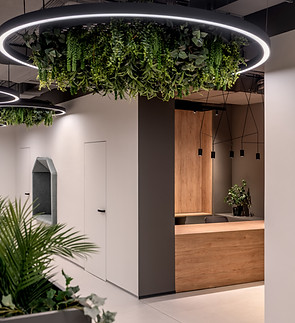 office-am-design-bureau-pidvisna-instalyatsiya-peregovorka.jpg