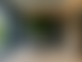 Бенгальський фікус у сучасному приватному інтер’єрі, висаджений у підлогу біля панорамного вікна, створює баланс і відчуття життя у просторі.