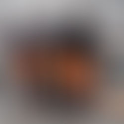 Participan en concurso de conocimientos “Geograficón”