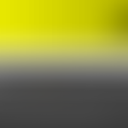 Participan en Seminario de inducción a la integridad Académica