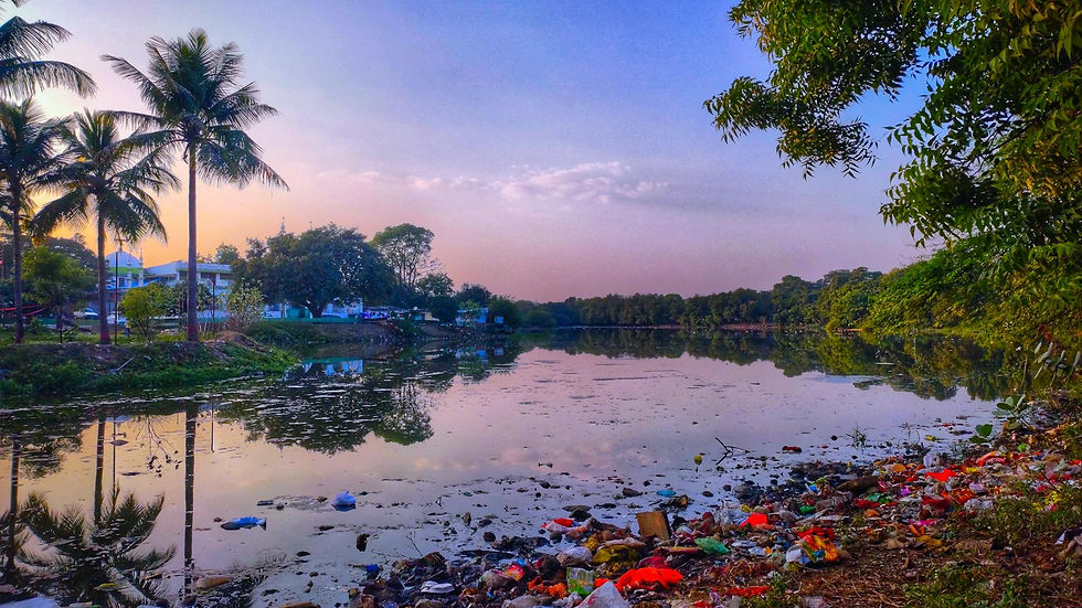 Scenic view of a lakeside polluted with trash, reflecting the surrounding nature at dusk.