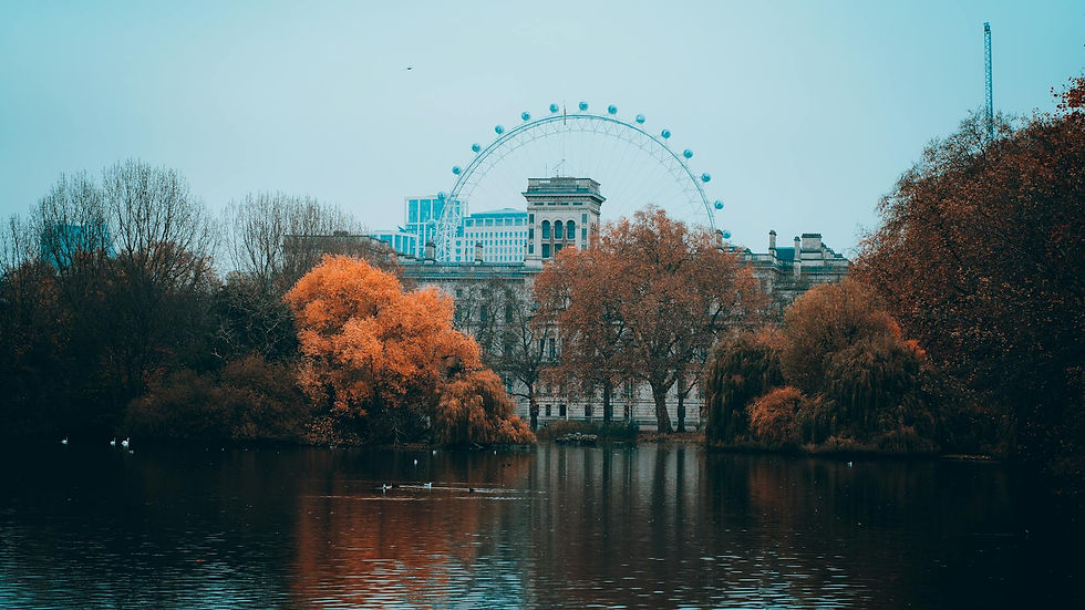 View of the London Eye with vibrant autumn trees reflecting in a serene park lake.