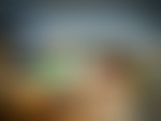 Top Central London Man and Van Junk Clearance