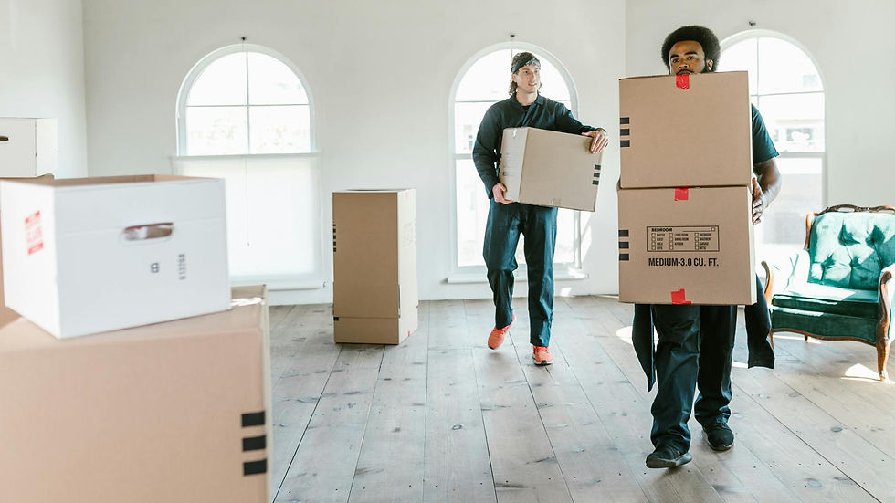 Two movers carrying boxes in a sunlit room, ready to assist with relocation.
