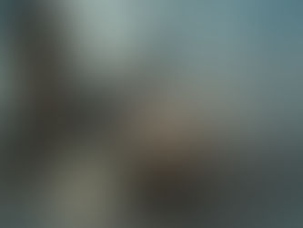 Man & Van London vs Removals: Price - Which to Choose?