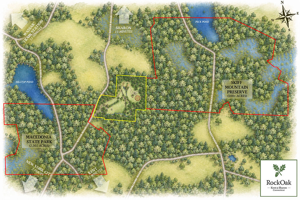 Zoomed Out Site Plan Render.jpg