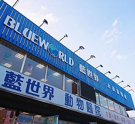 34983173_1310803415721247_87877564391468