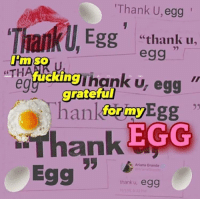 Egg.Has.No.Friends.