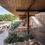Thumbnail: Natural Materials in Taverna at Four Seasons