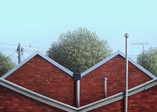 Backyard View.JPG