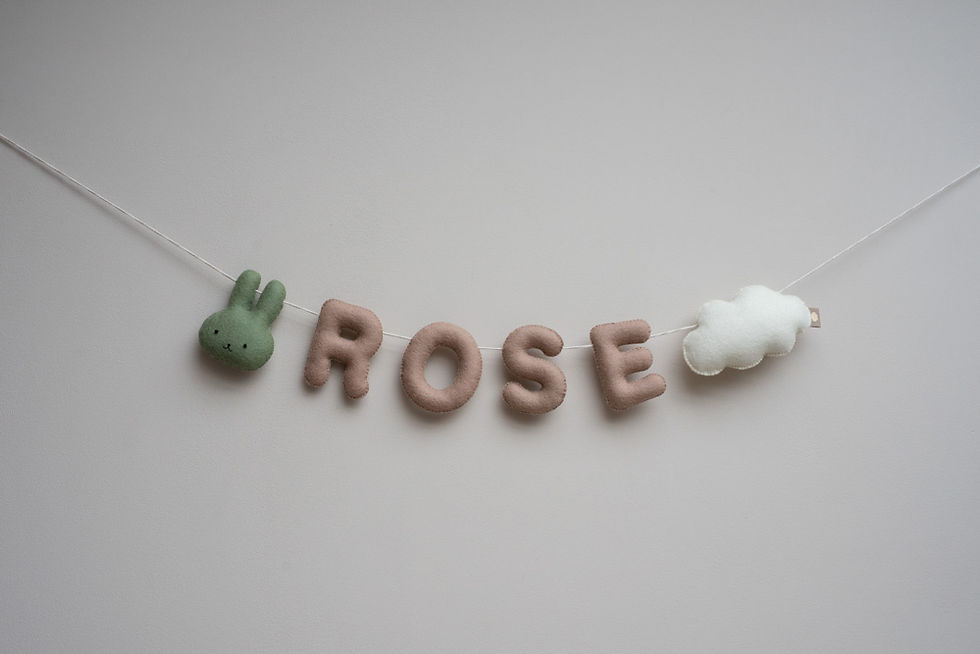 Thumbnail: Een slinger van wolvilt met de letters ROSE waar links een groen konijn van hangt en rechts een witte wolk