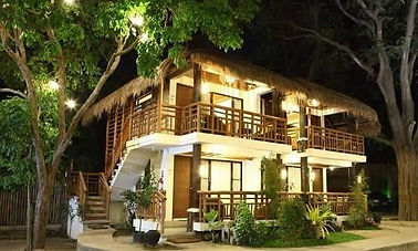 Proyecto Black Bamboo Puerto Viejo Limón