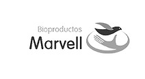 marvell.jpg