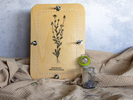 Die Blumenpresse aus hellem Holz steht auf einem beigen Tuch vor einer Wand. Daneben stehen gepresste Blumen in einem Glasbehälter.