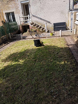 Jardinage: Tonte