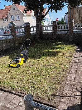 Jardinage: Nettoyer les allées
