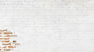 Dark Green and Cream Simple Dark Real Estate Bio-Link Website (1).png