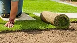 Rollrasen_verlegen.jpg.webp