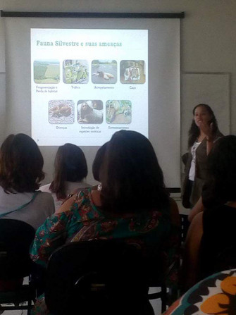 Práticas em Educação Ambiental que acontecem nas Unidades de Educação Infantil da Rede Municipal de