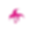 hastings-fat-tuesday-logo (1)