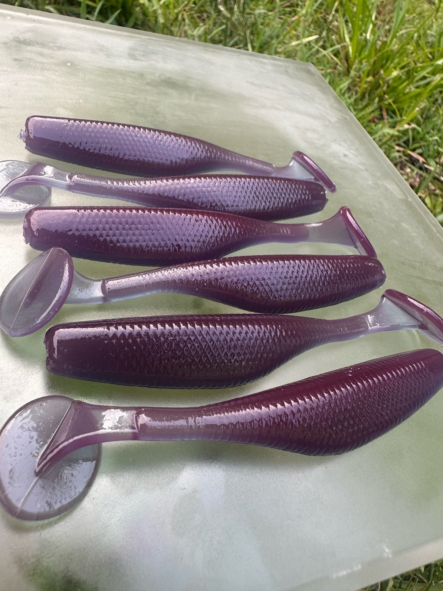 Blurple  -  6 Pcs/Bag