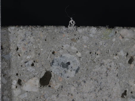 BFI Concrete Expert Witness: Distressed Warehouse Slab