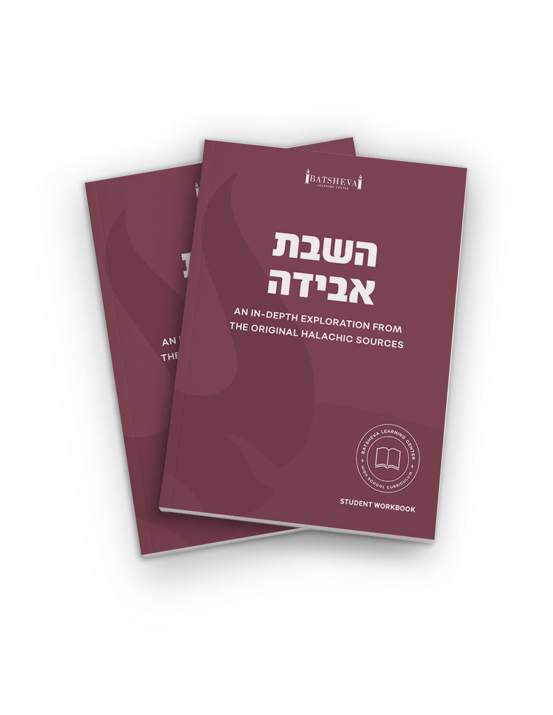 Hashavas Aveida - Workbook & Textbook
