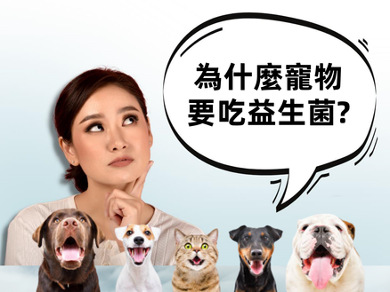 貓狗為什麼要吃益生菌?