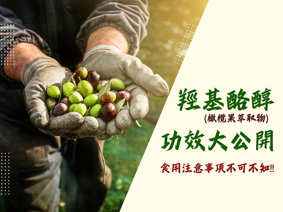 橄欖果萃取物羥基酪醇-功效大公開-食用注意事項要知